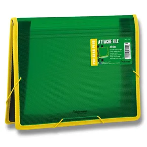 Aktentasche FolderMate Pop Gear Plus grün